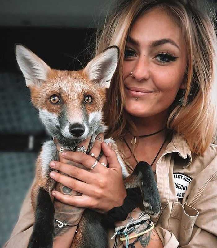 Rescue Fox și un buldog devin inseparabili și formează o prietenie din viața reală „The Fox And The Hound”